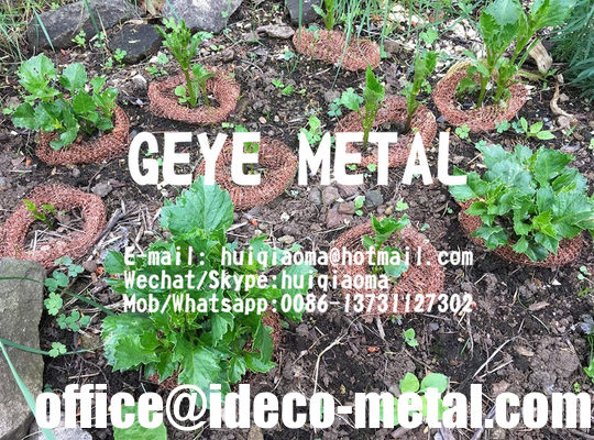 شبكة سلكي نحاسية مناسبة للجرذ فأر فأر خفاش مكافحة الحلزون، صوف نحاس منع الآفات المزود